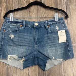 Blank NYC Distressed Blue Jean Shorts